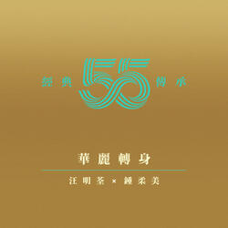 華麗轉身 (劇集《華麗轉身》主題曲)