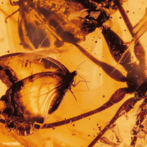 Amber