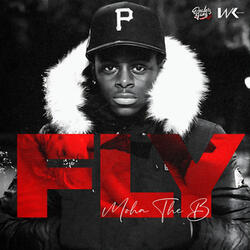 FLY