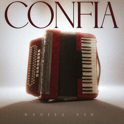 CONFIA - Daniel Vid
