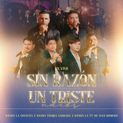 Sin razón / Un triste adiós