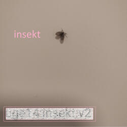 insekt
