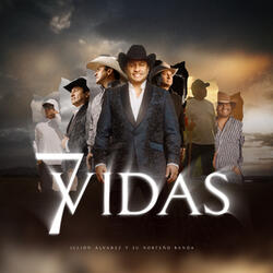 7 Vidas