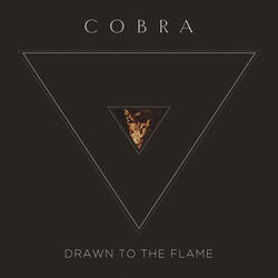 Drawn To The Flame