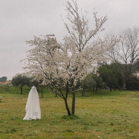 Que no plogui tan fort