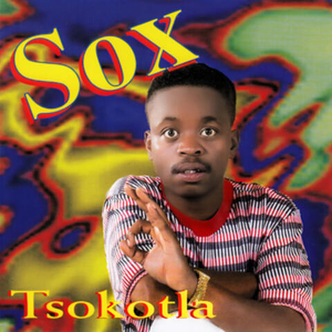 Tsokotla