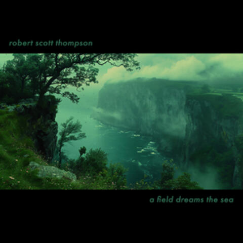 A Field Dreams the Sea