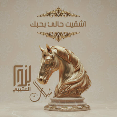 اشقيت حالي بحبك