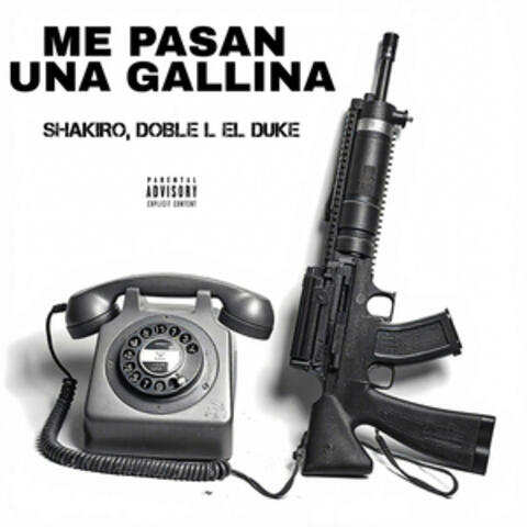 ME PASAN UNA GALLINA