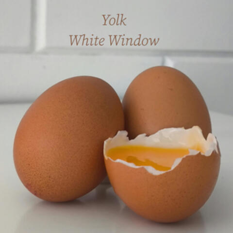 yolk