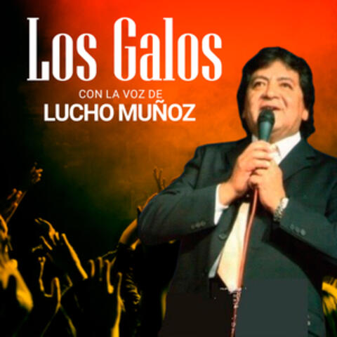 Los Galos, con la voz de Lucho Muños