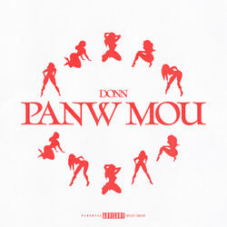 PANW MOU
