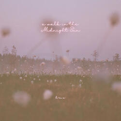 A Walk in the Midnight Sun