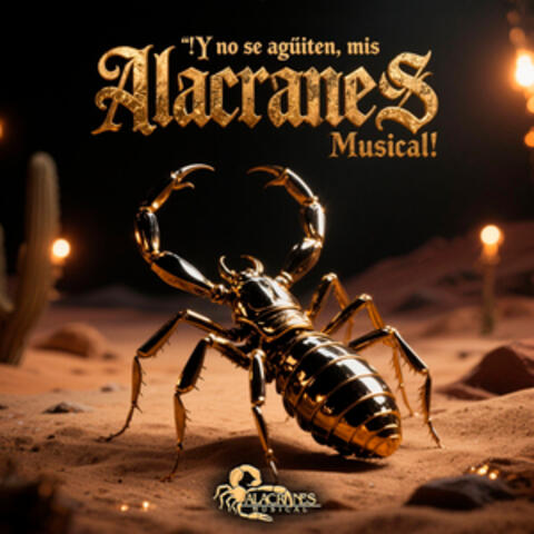 ¡Y no se agüiten, mis Alacranes Musical!
