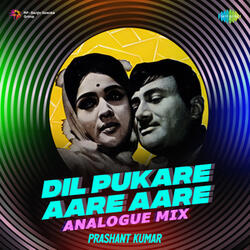 Dil Pukare Aare Aare