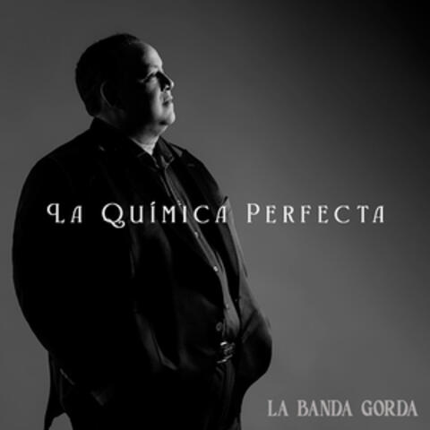 La Química Perfecta