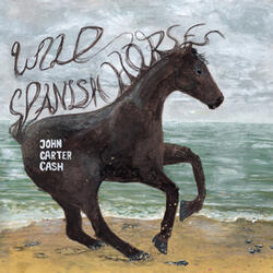 Wild Spanish Horses