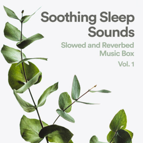 Soothing Sleep Sounds: Slowed and Reverb Music Box, Vol. 1