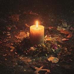 Тихий свет