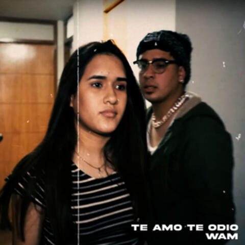 Te Amo Te Odio