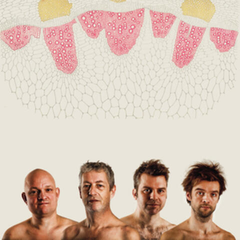 Pathology