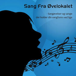 Vejrtrækningsøvelser
