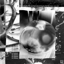 Zoom0003