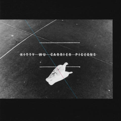 Carrier Pigeons