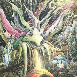 Elemental Convergence
