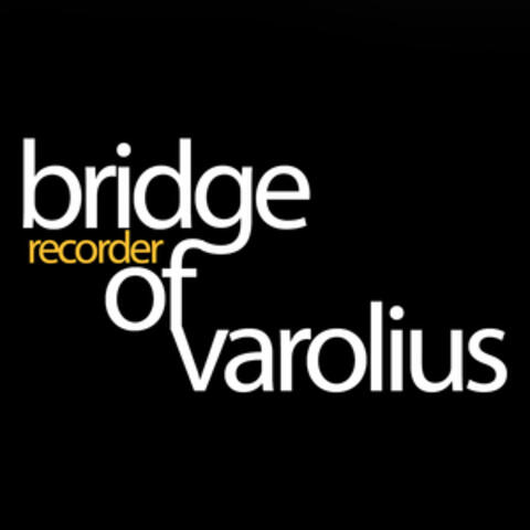 Bridge of Varolius