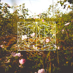 Everything Is Parallel