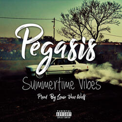 Summer Time Vibes