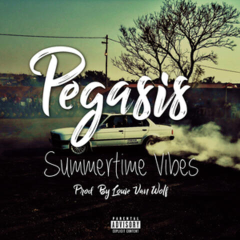 Summer Time Vibes