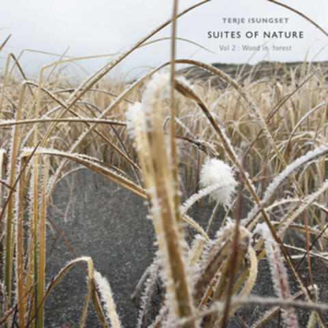 Suites of Nature, Vol.2 - Wood in Forest