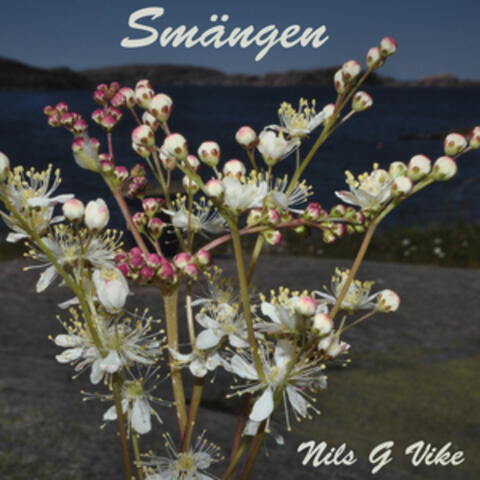 Smängen