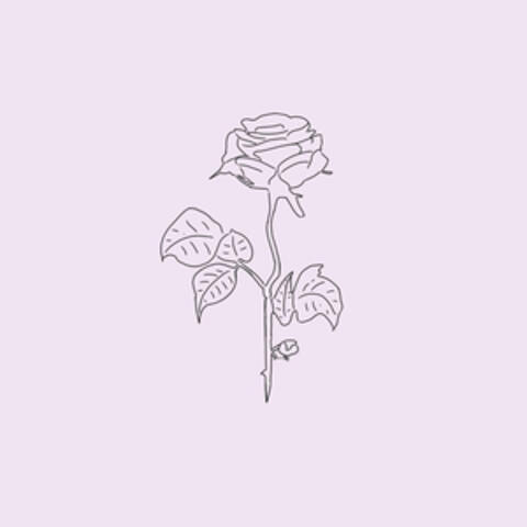 Downer