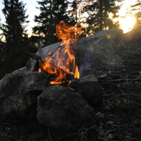 Forest Campfire in the Evening