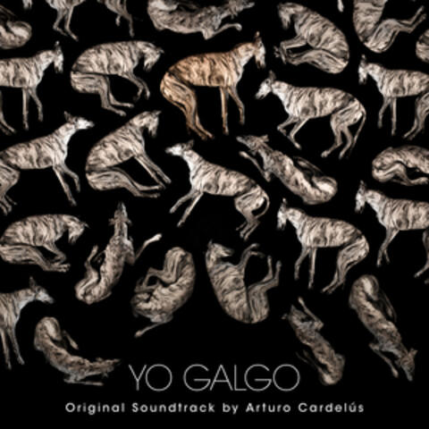 Yo Galgo