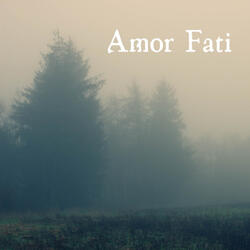 Amor Fati