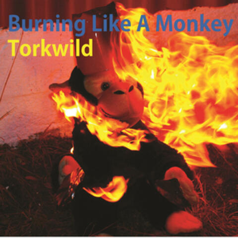 Burning Like a Monkey