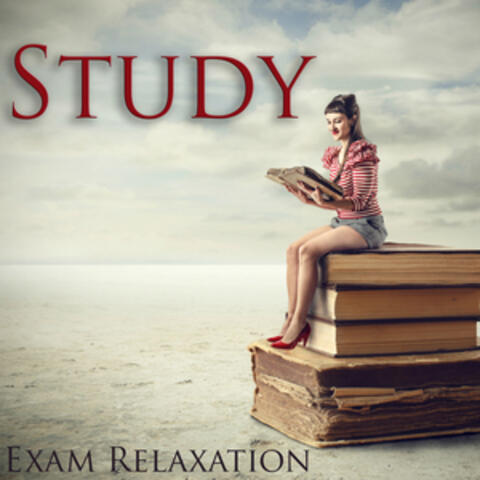 Concentration Music Ensemble & Calm Music for Studying