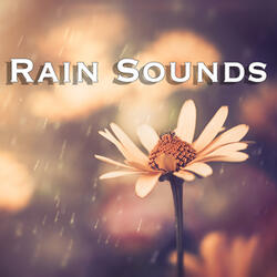 Rain: Relaxing