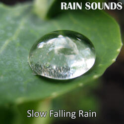 Raining Outside
