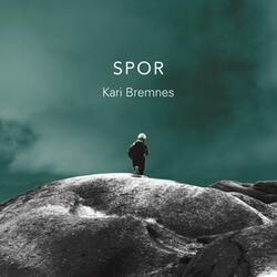 Spor