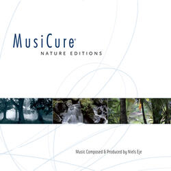 Daybreak in the Woods