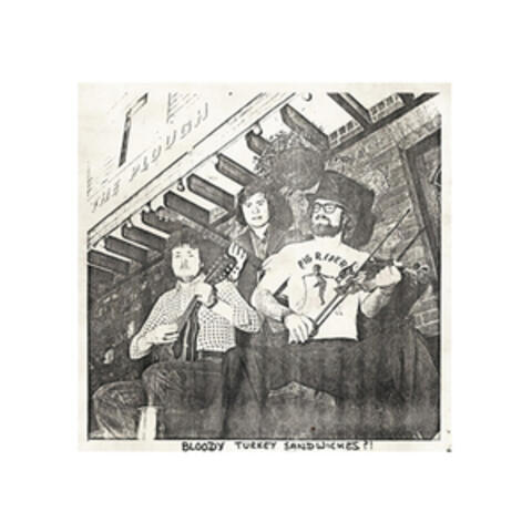 Bloody Turkey Sandwiches