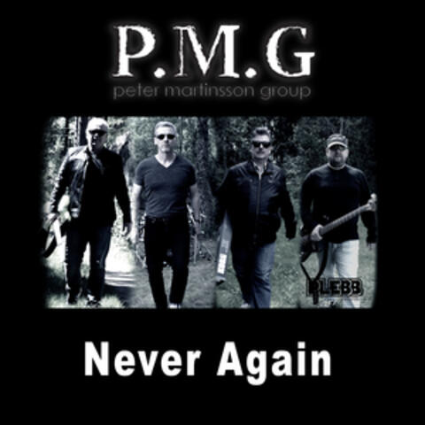 Never Again (Radio Edit)