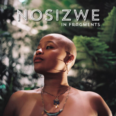 In Fragments