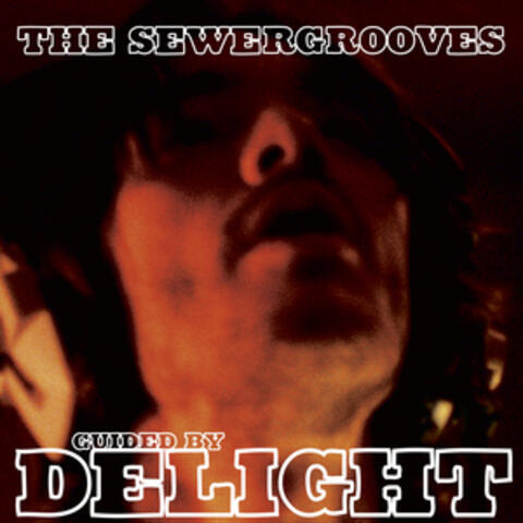 Guided by Delight
