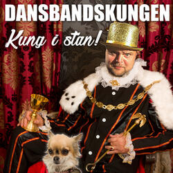 Sven-Ingvarsmedley